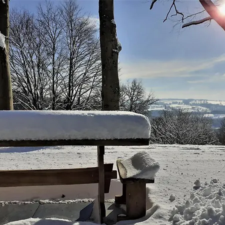 Aux 4 Vents - בקתה *